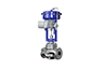 Customized Valve